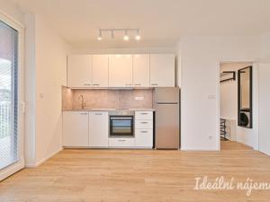 Pronájem bytu 1+kk, Brno, Auerswaldova, 29 m2