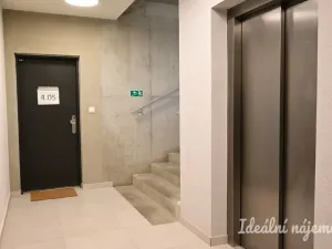 Pronájem bytu 1+kk, Brno, Auerswaldova, 29 m2
