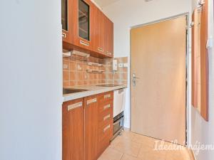 Pronájem bytu 1+kk, Brno, Jedovnická, 22 m2