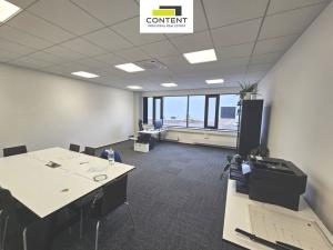 Pronájem výrobních prostor, Ovčáry, 30000 m2