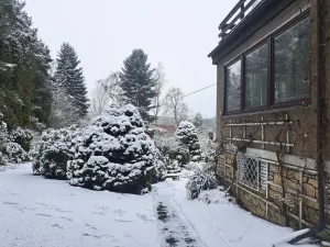 Prodej rodinného domu, Nové Strašecí, Nádražní, 350 m2