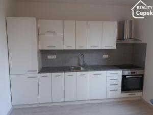 Pronájem bytu 1+1, Ostrava - Moravská Ostrava, 28. října, 48 m2