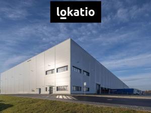 Pronájem skladu, Ostrava, 3404 m2