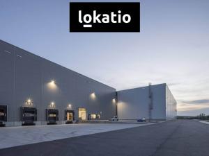 Pronájem výrobních prostor, Ostrava - Hrušov, 3404 m2