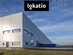 Pronájem výrobních prostor, Ostrava - Hrušov, 10173 m2