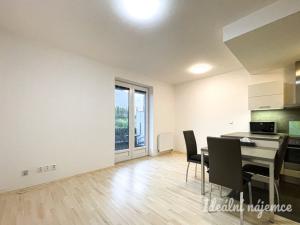 Pronájem bytu 1+kk, Brno, U Leskavy, 34 m2