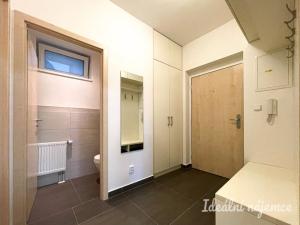 Pronájem bytu 1+kk, Brno, U Leskavy, 34 m2