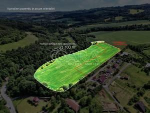 Prodej pozemku pro bydlení, Horní Poříčí, 12859 m2