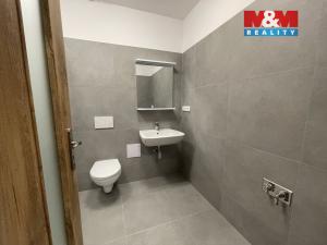 Pronájem bytu 2+1, Ostrava - Vítkovice, Lidická, 57 m2