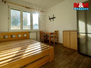 Prodej bytu 1+kk, Zlín, M. Knesla, 20 m2
