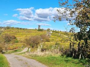 Prodej vinného sklepa, Mutěnice, 120 m2