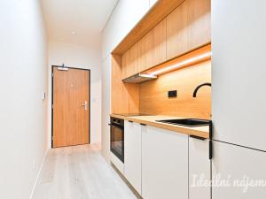 Pronájem bytu 1+kk, Brno, Dornych, 38 m2