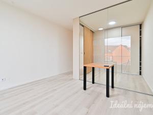 Pronájem bytu 1+kk, Brno, Dornych, 38 m2