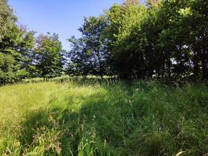 Prodej zahrady, Černovice - Panské Mlýny, 4180 m2