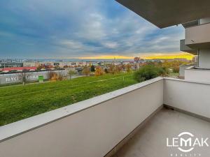 Pronájem bytu 1+kk, Olomouc, Aloise Rašína, 30 m2