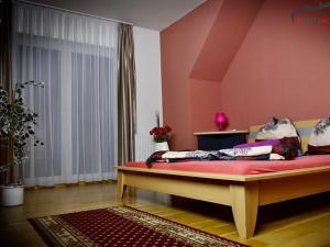 Pronájem rodinného domu, Rozdrojovice, Za Humny, 850 m2