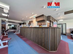 Prodej obchodního prostoru, Praha - Smíchov, Kobrova, 276 m2