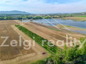 Prodej sadu/vinice, Zaječí, Hlavní, 8494 m2
