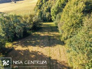 Prodej lesa, Šimonovice, 30343 m2