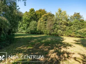 Prodej lesa, Šimonovice, 30343 m2