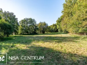 Prodej lesa, Šimonovice, 30343 m2