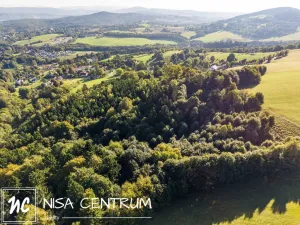 Prodej lesa, Šimonovice, 30343 m2