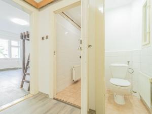 Pronájem bytu 2+kk, Praha - Žižkov, Lucemburská, 53 m2