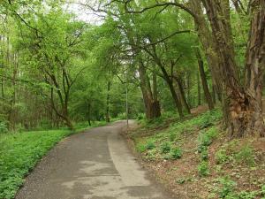 Pronájem bytu 1+kk, Praha - Horní Měcholupy, Milánská, 35 m2