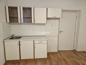 Pronájem bytu 2+1, Trmice, Žižkova, 80 m2