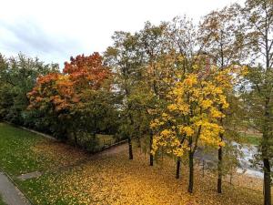 Pronájem bytu 2+1, Most, Obránců míru, 53 m2