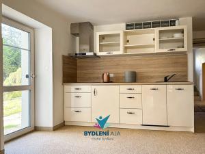 Prodej vily, Roprachtice, 373 m2