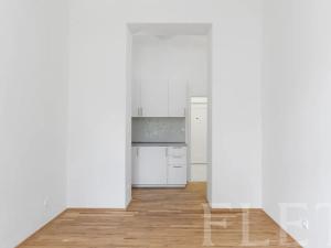 Pronájem bytu 1+kk, Praha - Nusle, Lumírova, 31 m2