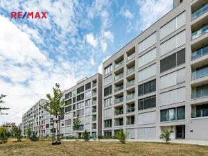 Pronájem bytu 1+kk, Praha - Karlín, Breitfeldova, 42 m2