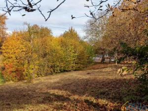 Prodej pozemku pro bydlení, Příluka, 805 m2