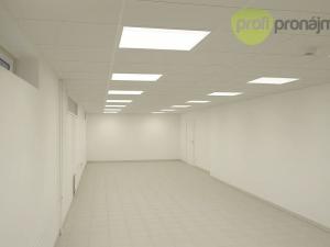 Pronájem skladu, Vyškov, Palánek, 460 m2