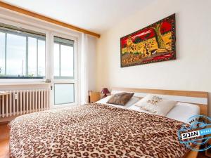 Pronájem bytu 2+1, Olomouc, Heyrovského, 58 m2