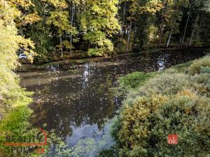 Prodej pozemku, Chlum u Třeboně - Žíteč, 64790 m2