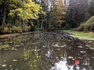 Prodej pozemku, Chlum u Třeboně - Žíteč, 64790 m2