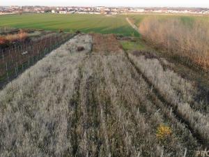 Prodej vinného sklepa, Hrušky, 35 m2