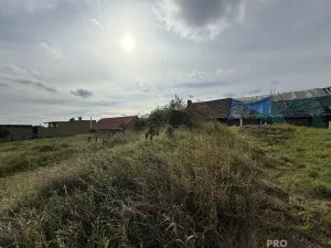 Prodej vinného sklepa, Hrušky, 35 m2
