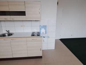 Pronájem bytu 1+kk, Plzeň, Černická, 28 m2