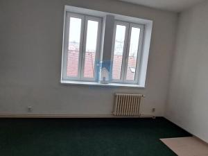 Pronájem bytu 1+kk, Plzeň, Černická, 28 m2
