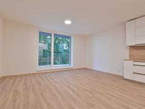 Pronájem bytu 1+kk, Brno, Wágnerova, 43 m2