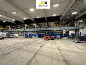 Pronájem výrobních prostor, Litvínov - Záluží, 7684 m2