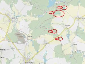 Prodej lesa, Mladošovice, 12064 m2