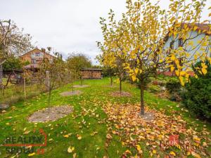 Prodej rodinného domu, Albrechtice nad Orlicí, 1. máje, 191 m2