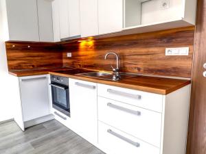 Pronájem bytu 2+kk, Pardubice - Zelené Předměstí, K Višňovce, 58 m2