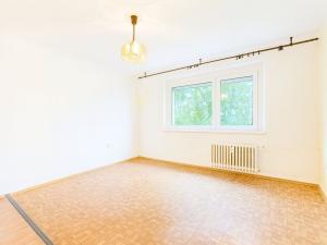 Pronájem bytu 2+kk, Ústí nad Labem, Brandtova, 40 m2