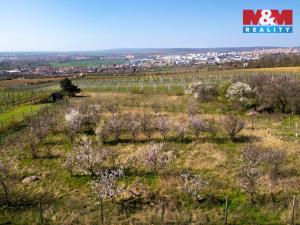 Prodej zahrady, Dobšice, 2462 m2