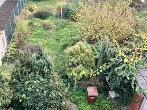 Pronájem bytu 2+1, Kroměříž, Purkyňova, 79 m2